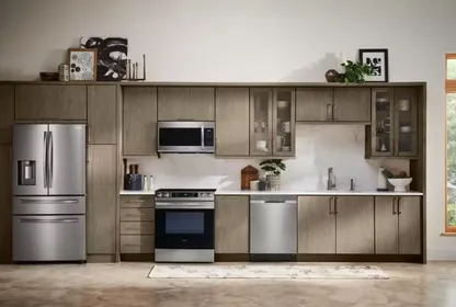 Samsung home appliances intro1