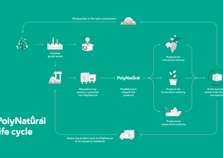 P75391 Poly Natural Life Cycle Diagram WEBSITE 960x590 FA2