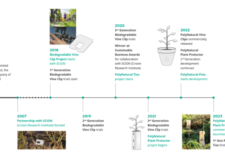 Polynatural timeline